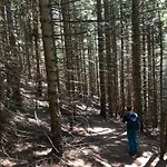 Isabelle * הרמגור