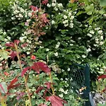 דירה Isabelle הרמגור