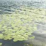 Isabelle הרמגור