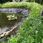 Isabelle הרמגור