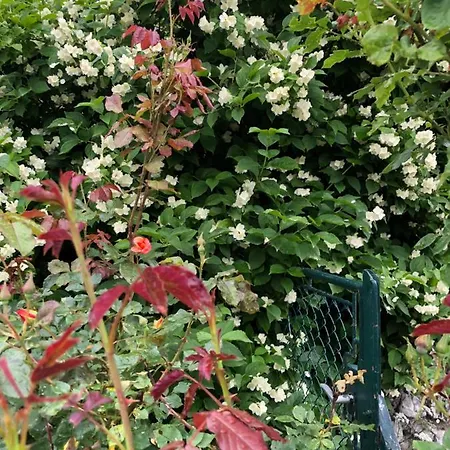 Apartman Isabelle Hermagor-Pressegger See