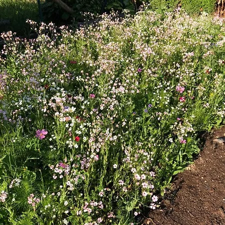 Apartman Isabelle Hermagor-Pressegger See