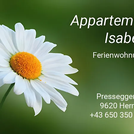 Daire Isabelle *