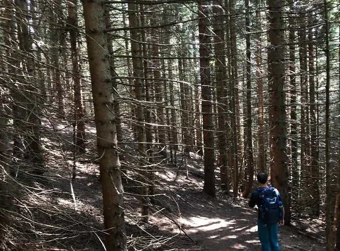 Isabelle Apartment Hermagor-Pressegger See