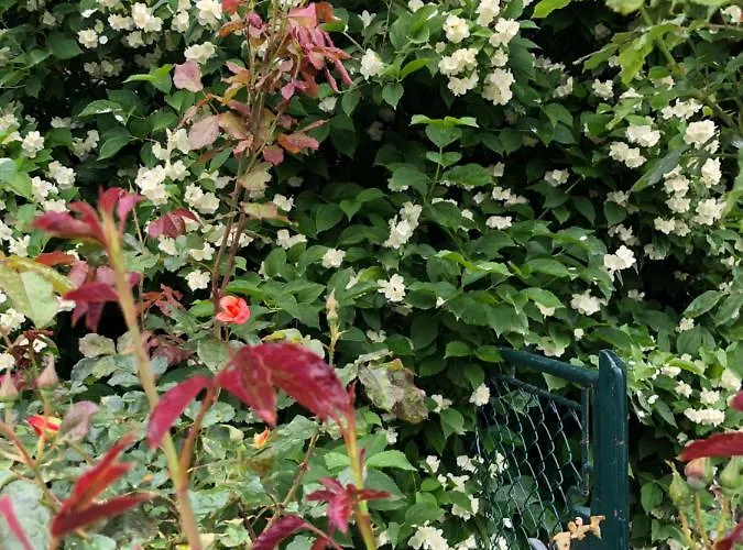 Apartment Isabelle Hermagor-Pressegger See