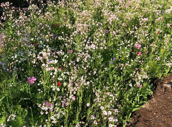 Apartment Isabelle Hermagor-Pressegger See