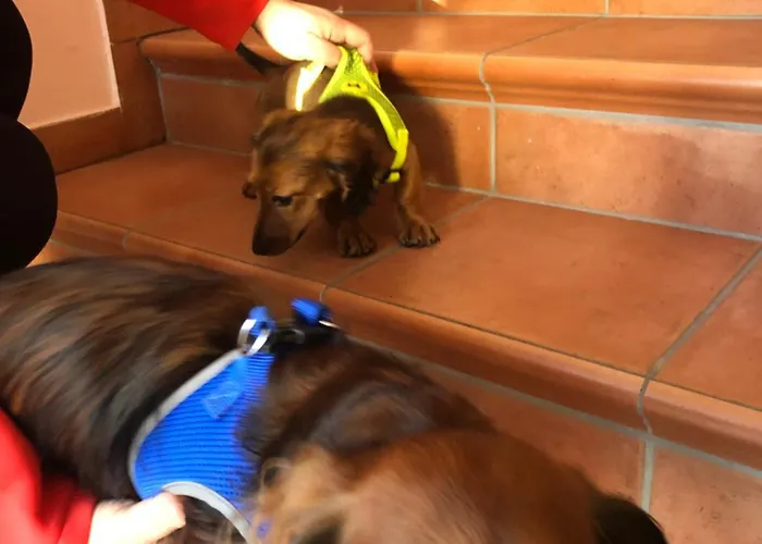 Apartment Isabelle Hermagor-Pressegger See