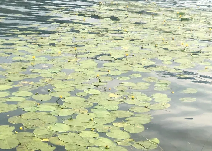 Apartment Isabelle *