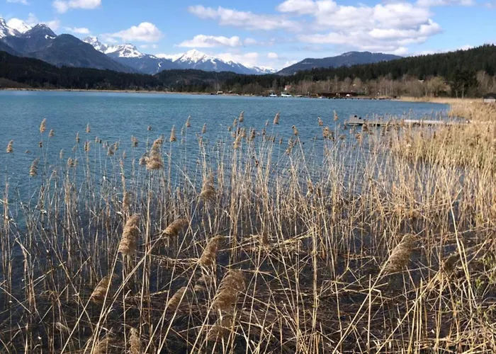 Isabelle Apartment *