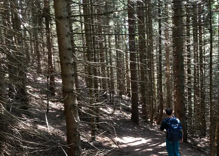 Isabelle * Hermagor-Pressegger See