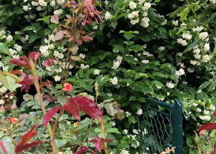 Apartman Isabelle Hermagor-Pressegger See