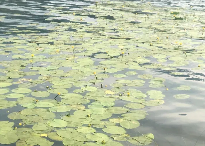 Isabelle Hermagor-Pressegger See