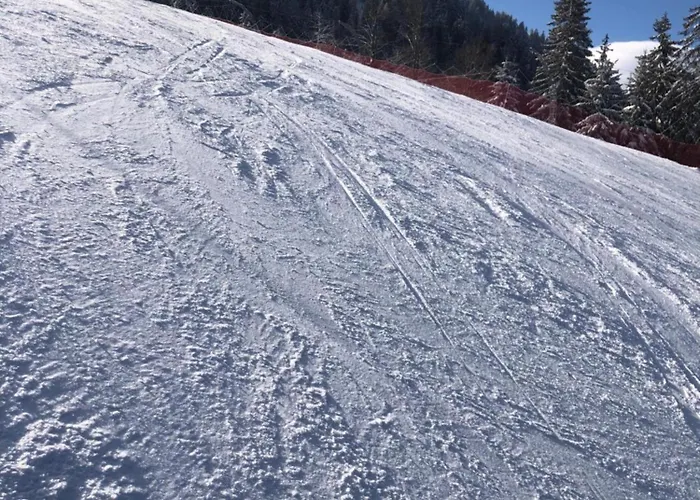 Isabelle * Hermagor-Pressegger See